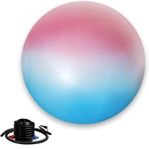 65cm Exercise Ball Chair with Pump Blue Pink